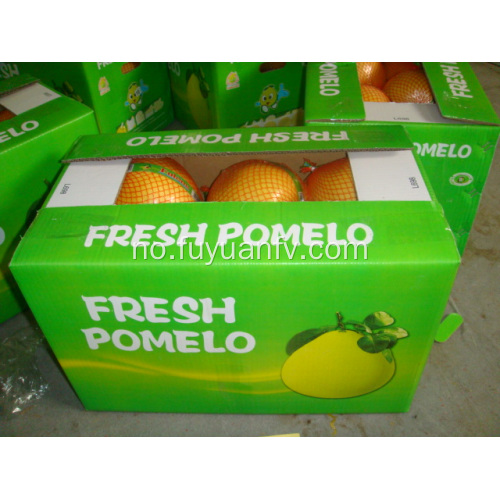 Varmt salg deilig fersk pomelo